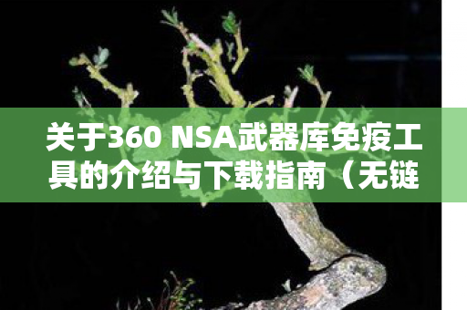 关于360 NSA武器库免疫工具的介绍与下载指南图片