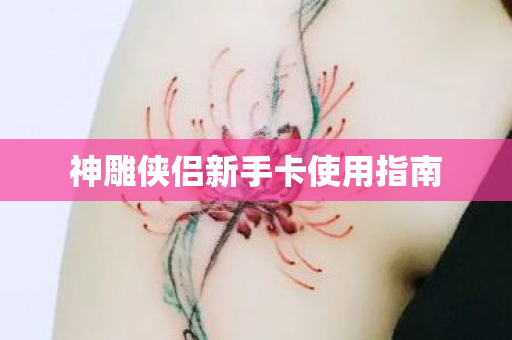 神雕侠侣新手卡使用指南图片