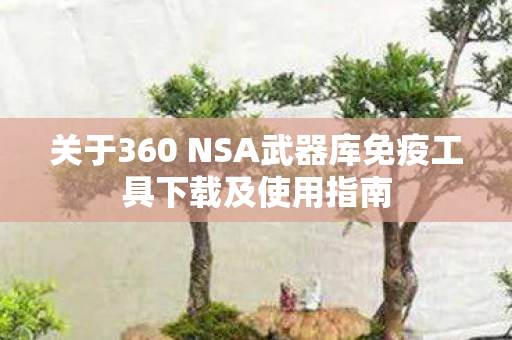 关于360 NSA武器库免疫工具下载及使用指南图片