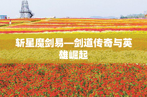 剑道传奇与英雄崛起图片
