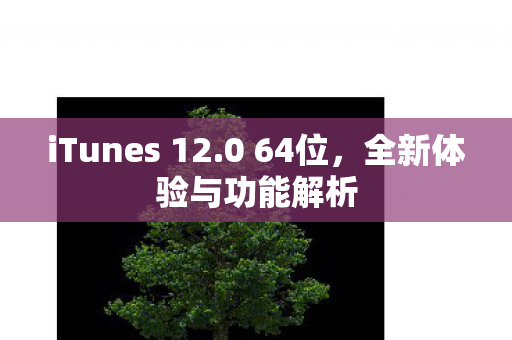 iTunes 12图片