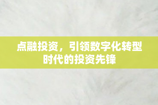 引领数字化转型时代的投资先锋图片