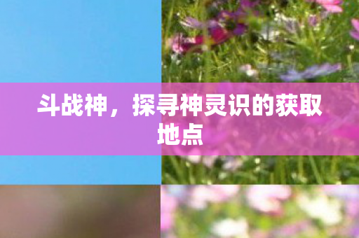探寻神灵识的获取地点图片