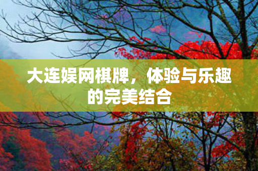 体验与乐趣的完美结合图片