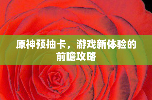 游戏新体验的前瞻攻略图片