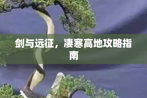 凄寒高地攻略指南图片