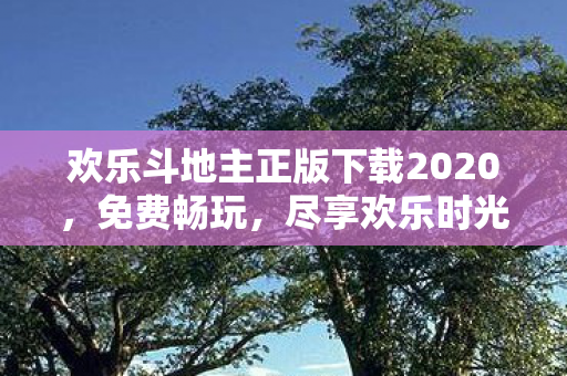 欢乐斗地主正版下载2020图片