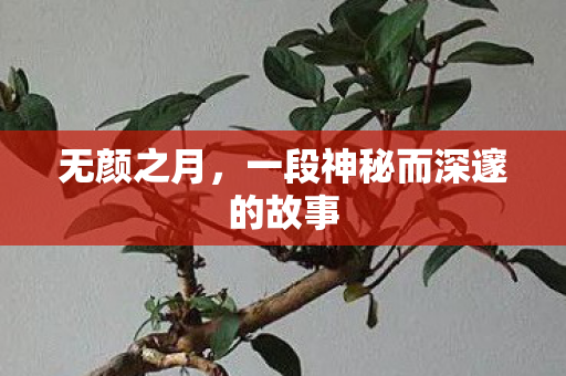 一段神秘而深邃的故事图片