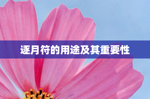 逐月符的用途及其重要性图片