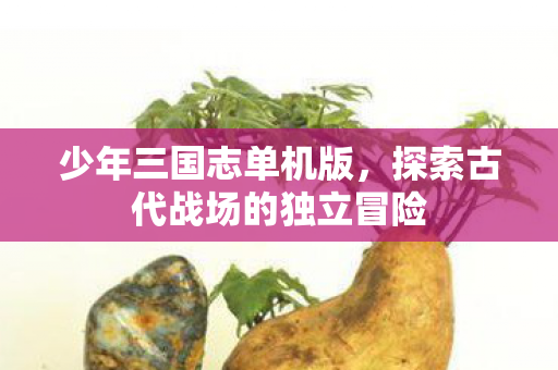 探索古代战场的独立冒险图片