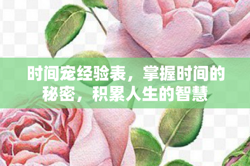 掌握时间的秘密图片