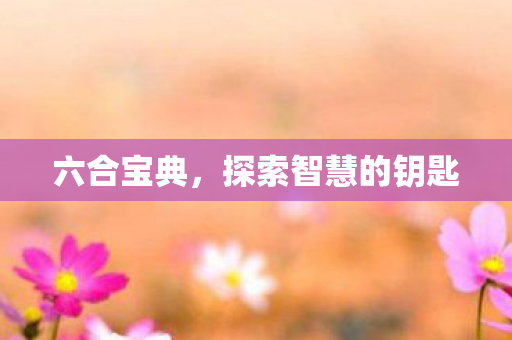 探索智慧的钥匙图片