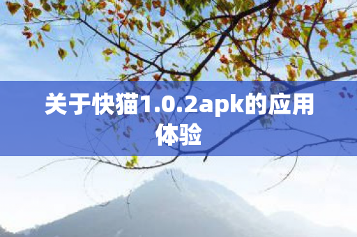 2apk的应用体验图片