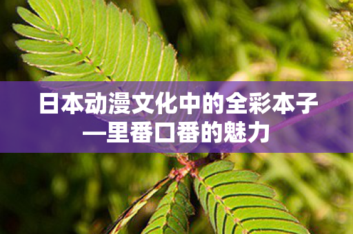 日本动漫文化中的全彩本子图片