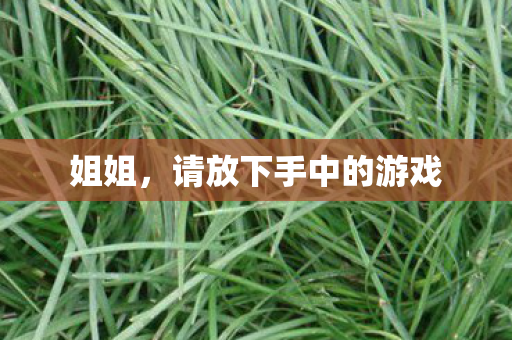 请放下手中的游戏图片
