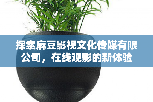 探索麻豆影视文化传媒有限公司图片
