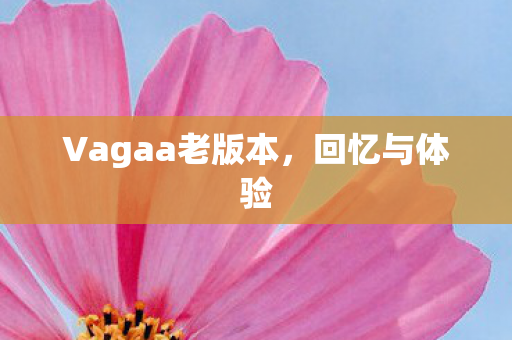 Vagaa老版本图片
