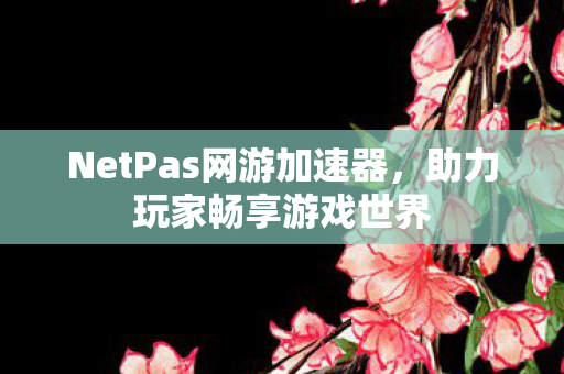 NetPas网游加速器图片
