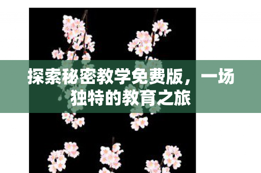 探索秘密教学免费版图片