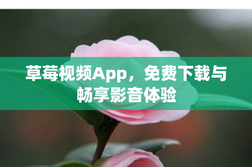 免费下载与畅享影音体验图片