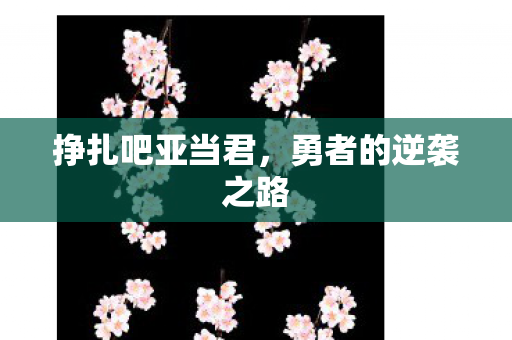 勇者的逆袭之路图片
