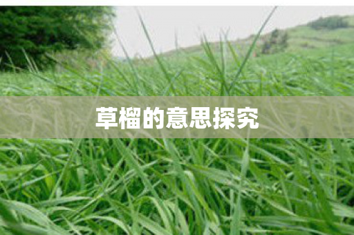 草榴的意思探究图片