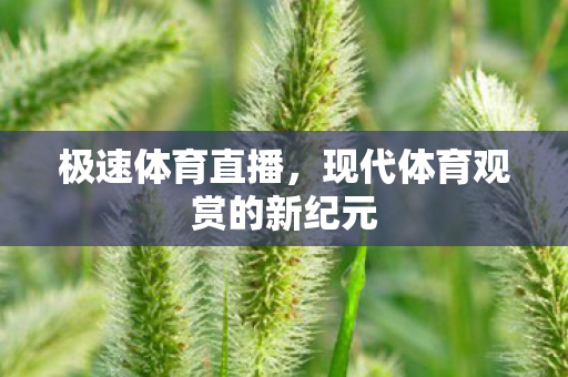 现代体育观赏的新纪元图片