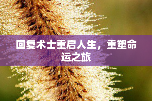 回复术士重启人生图片