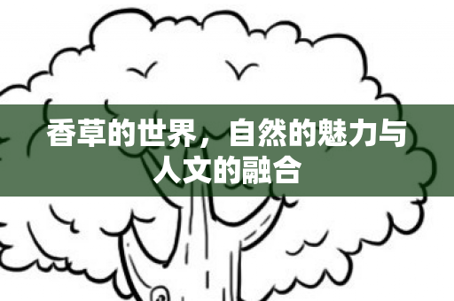 自然的魅力与人文的融合图片