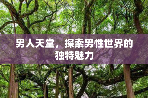 探索男性世界的独特魅力图片