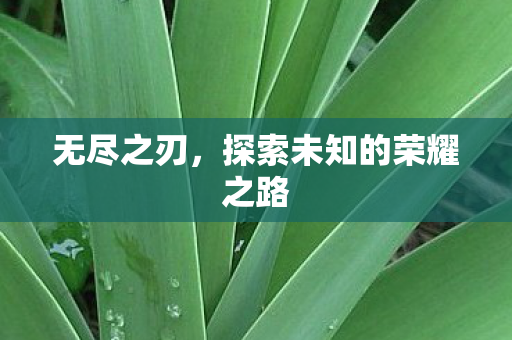 探索未知的荣耀之路图片