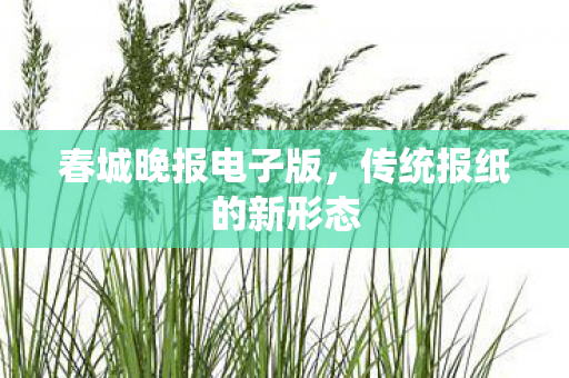 传统报纸的新形态图片