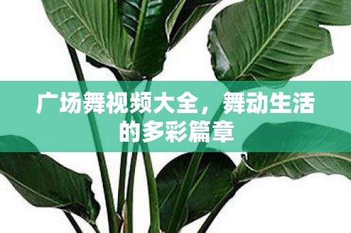 舞动生活的多彩篇章图片