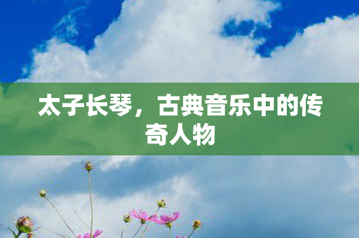 古典音乐中的传奇人物图片