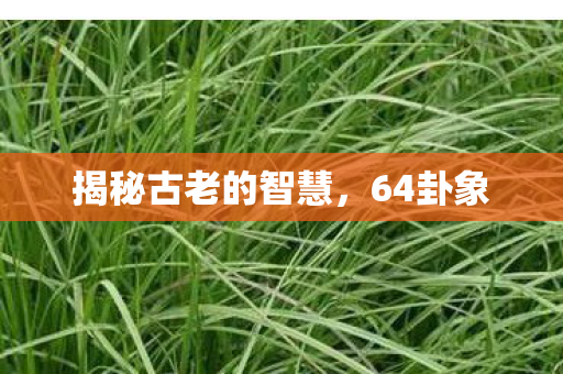 揭秘古老的智慧图片