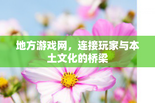 连接玩家与本土文化的桥梁图片
