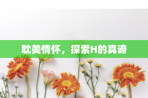 探索H的真谛图片