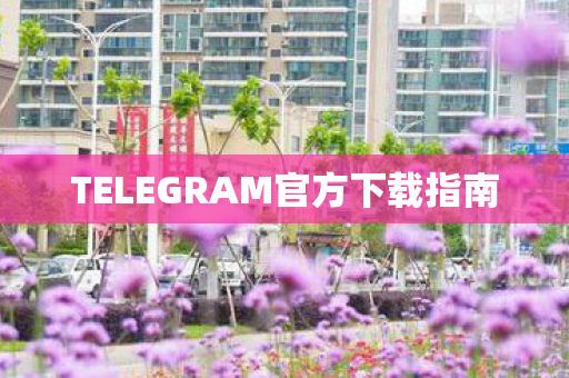 TELEGRAM官方下载指南图片