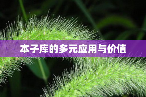本子库的多元应用与价值图片