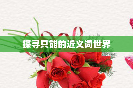 探寻只能的近义词世界图片
