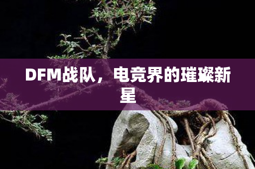 电竞界的璀璨新星图片