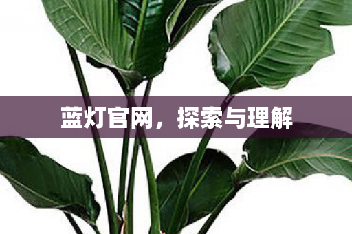 探索与理解图片