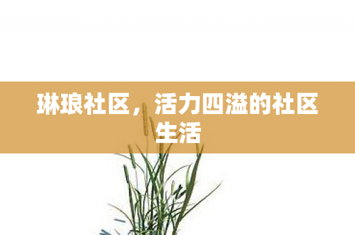 活力四溢的社区生活图片