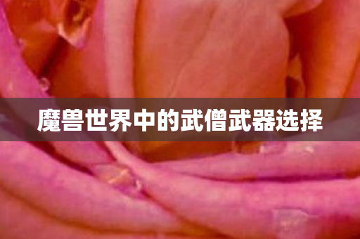 魔兽世界中的武僧武器选择图片