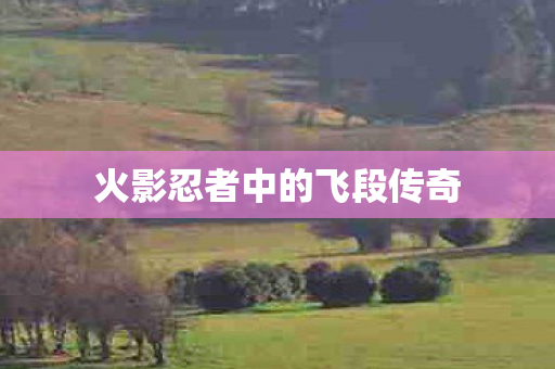 火影忍者中的飞段传奇图片