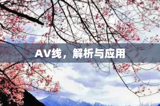解析与应用图片