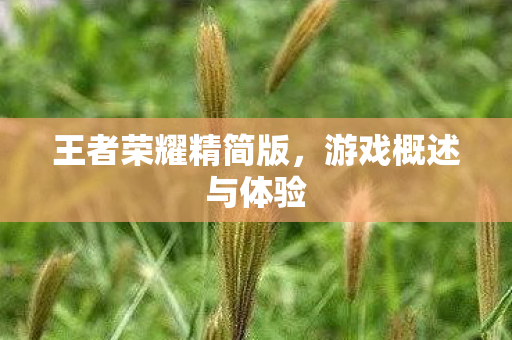 王者荣耀精简版图片