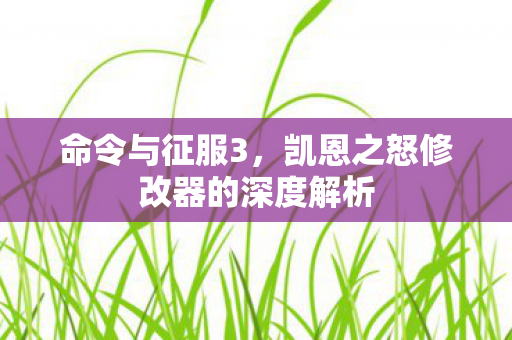 凯恩之怒修改器的深度解析图片