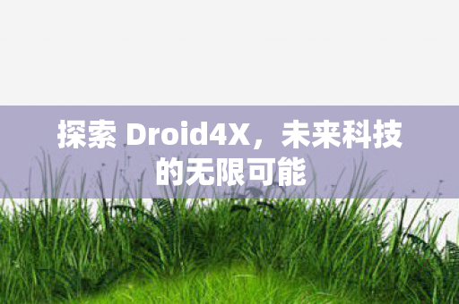 探索 Droid4X图片