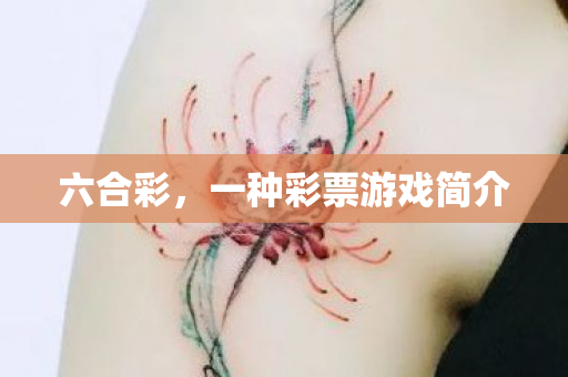 一种彩票游戏简介图片